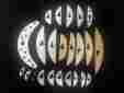Cg-2080-01 100ml-22l Cg-2080 Chemglass Pick 2 For 10 Ptfe Overhead Stirrer Blades 10mm Shaft Flasks