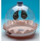 120310 Gsc International Deluxe Lung Apparatus And Diaphragm Demonstration