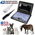 69450401 Usa Ce Veterinary Laptop Ultrasound Scanner Machine Rectal Micro Convex