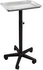 Ld8642 Saloniture Aluminum Instrument Tray 616706688642
