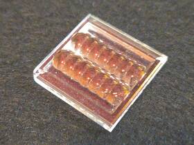 Nichia-nubm34 Nichia Nubm38 Blue Laser Diode Chip Array Replacement Lens Only