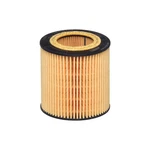 Stallion Filter E61H D258 Oil For Bmw. Fixed Price $16.53.