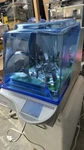 Benchmark H1001-M Incu-shaker Mini Shaking Incubator. Fixed Price $1999.00.
