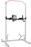 Sunny Health & Fitness Power Cage Squat Rack Upgrade Attachments, Dip Bar, Plate. Fixed Price $172.03.